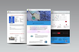 BROMINE NOBLE CHEMTECH